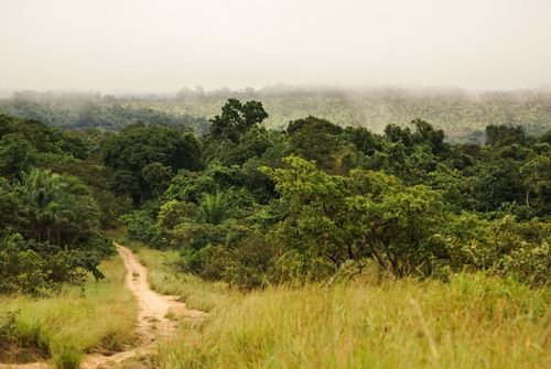 14. PARC NATIONAL