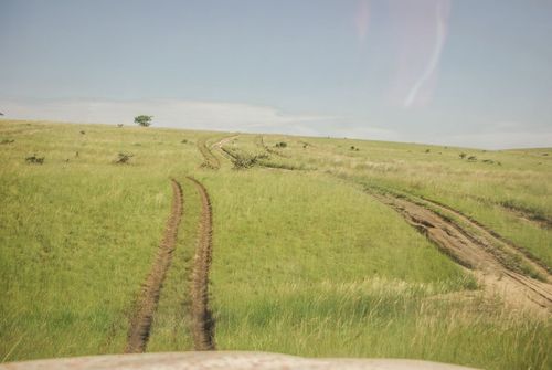 18. ENTRE STEPPES DE MONGOLIE ET DÉSERT DU KALAHARI