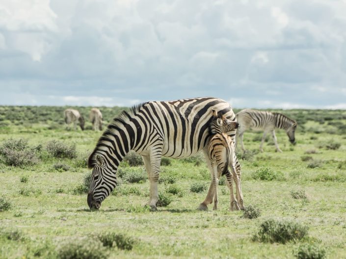 Traversée d’Afrique