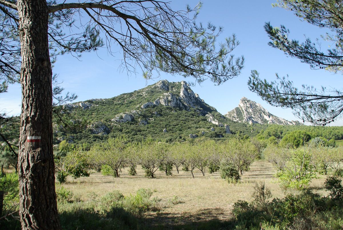 Montagne des Alpilles