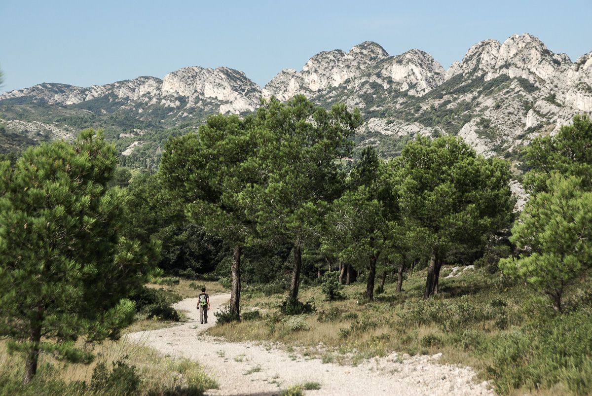 Voyage-Alpilles-3