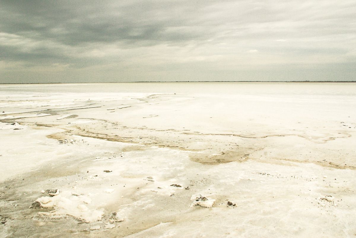 Paysage en Camargue. Mer de sel