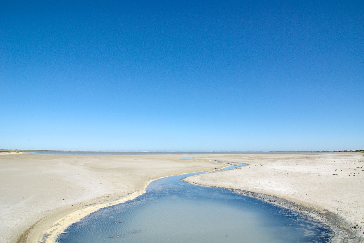 Paysage sauvage de Camargue