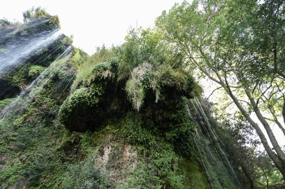 Voyage-Causses-Gorges-du-Tarn-12