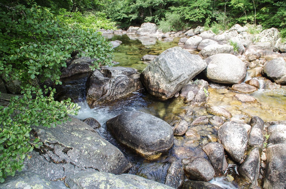 Rivière La Dourbies dans les Cévennes