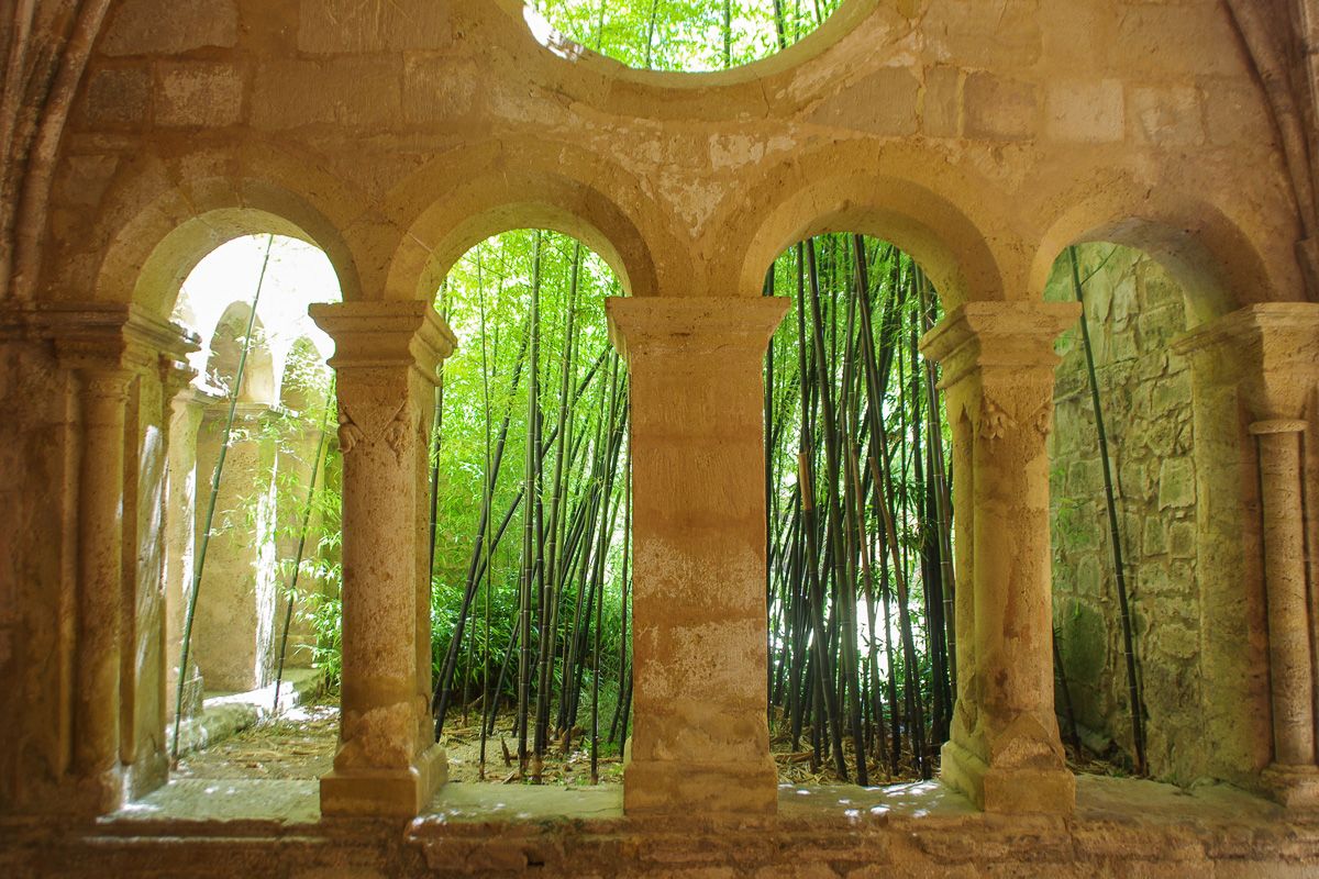 Abbaye de Valmagne