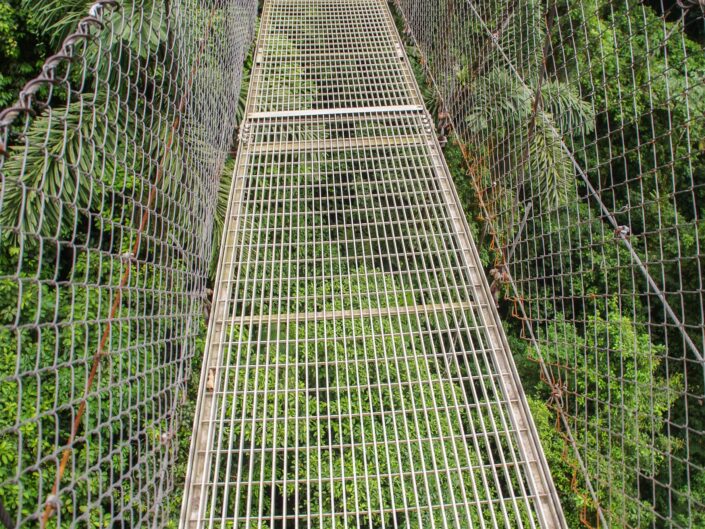 Passerelle suspendue dans la forêt du Costa Rica