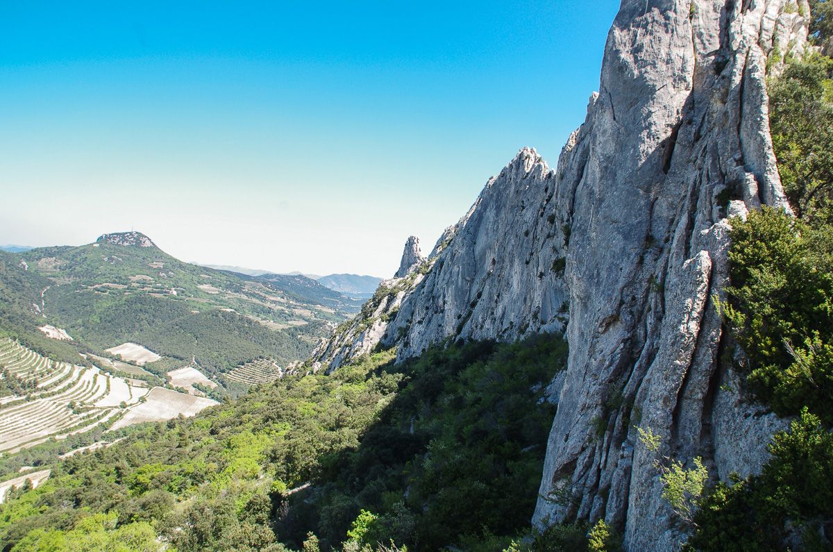 Dentelles de Montmirail