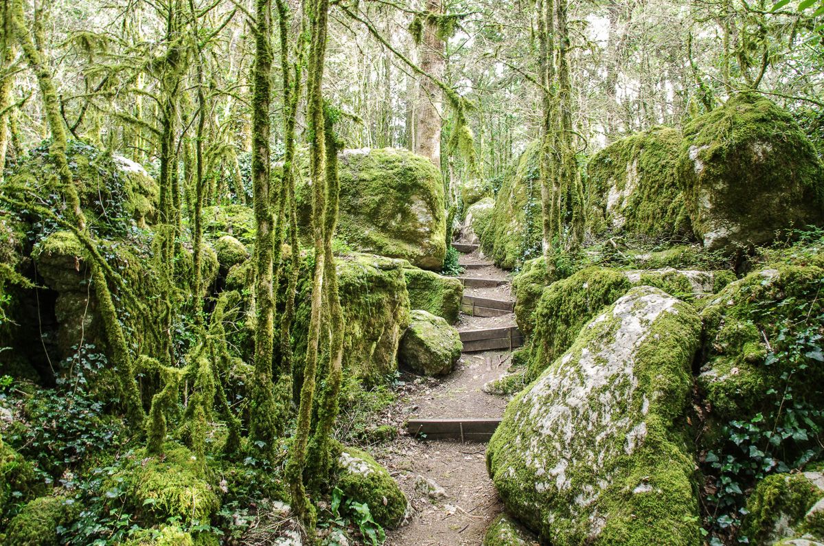 Randonnée dans le labyrinthe vert de Nebias dans l'Aude