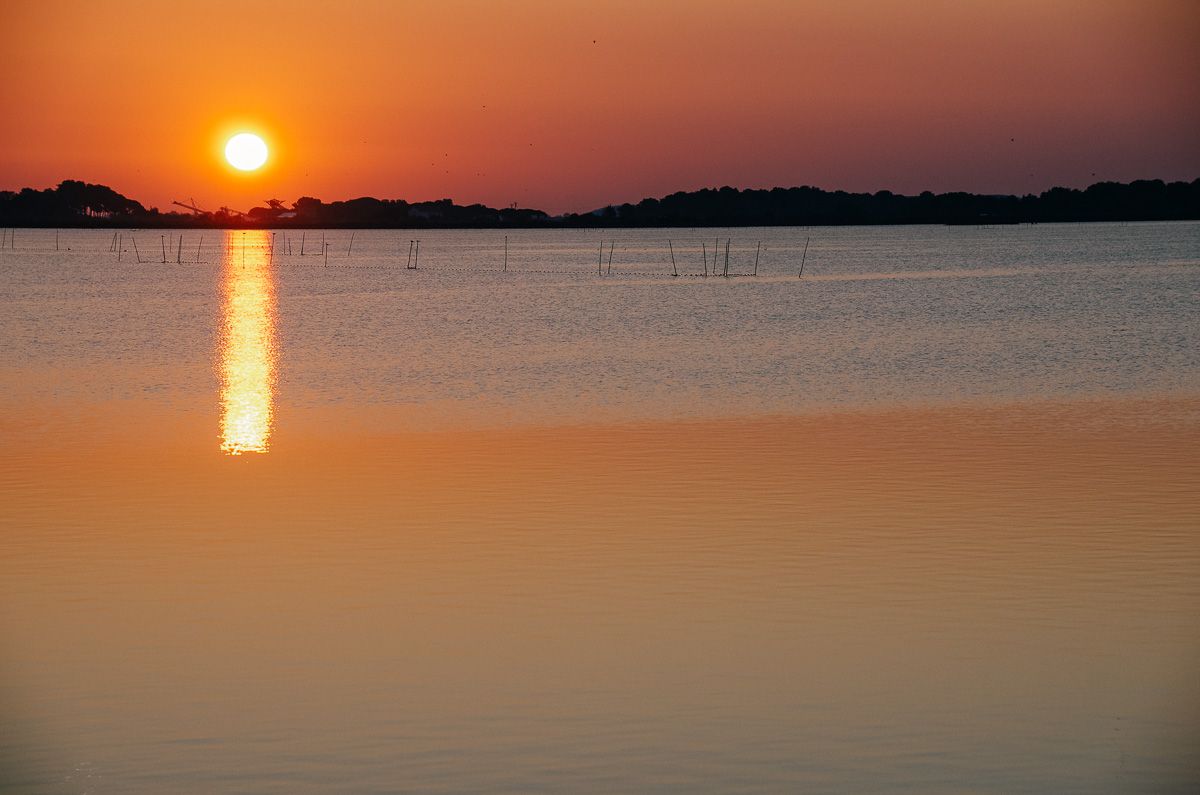 Lever de soleil sur les étang en petite Camargue et vue sur Aigues Mortes