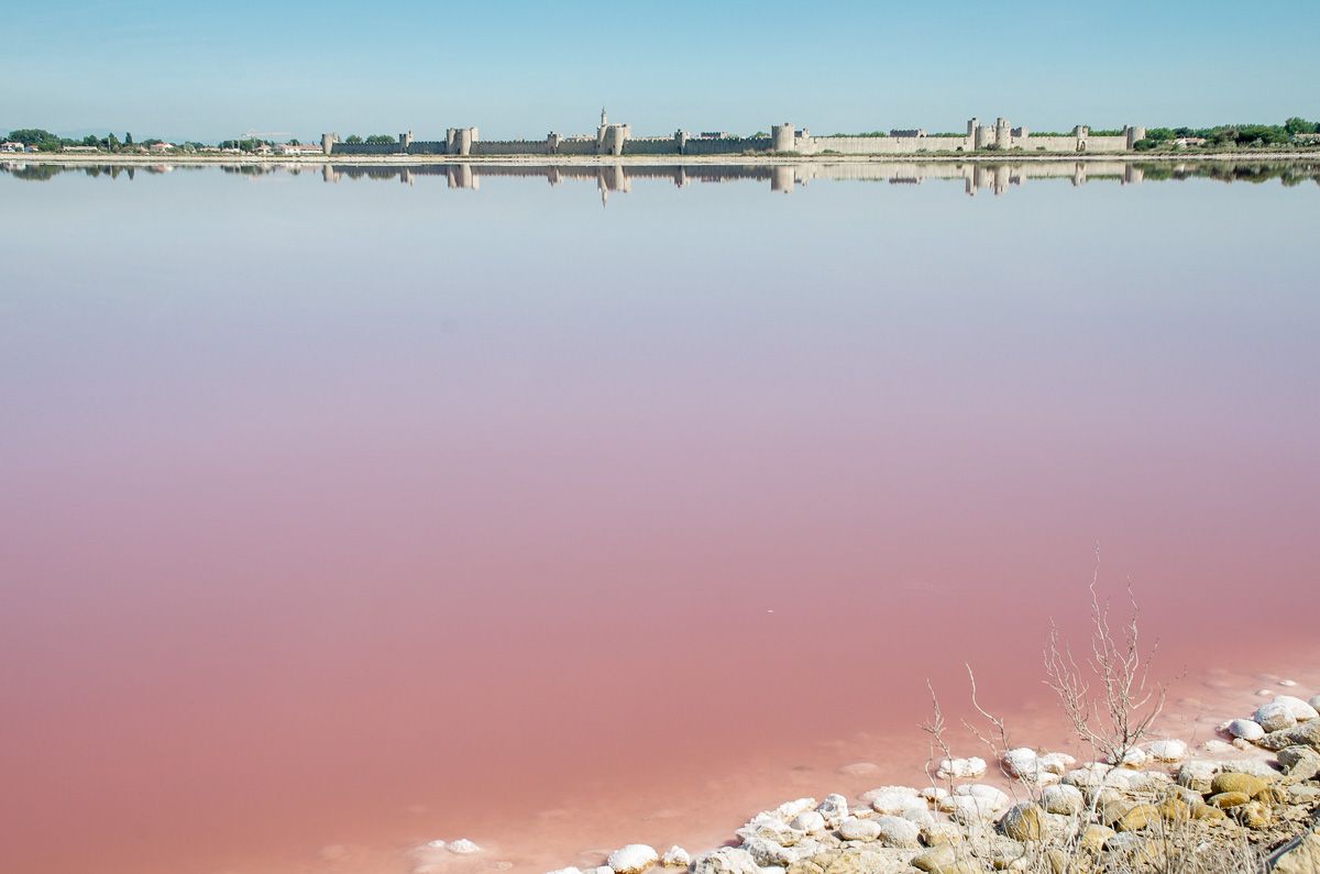 Eau rose des Salin de Aigues-Mortes