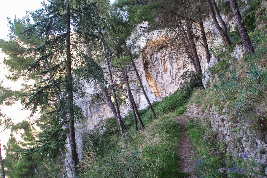 Sentier de rando foret de Gratteri en Sicile