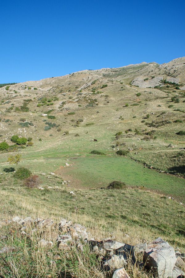 Paysage des Madonies