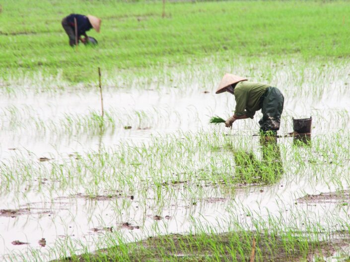 Vietnam… en 12 photos