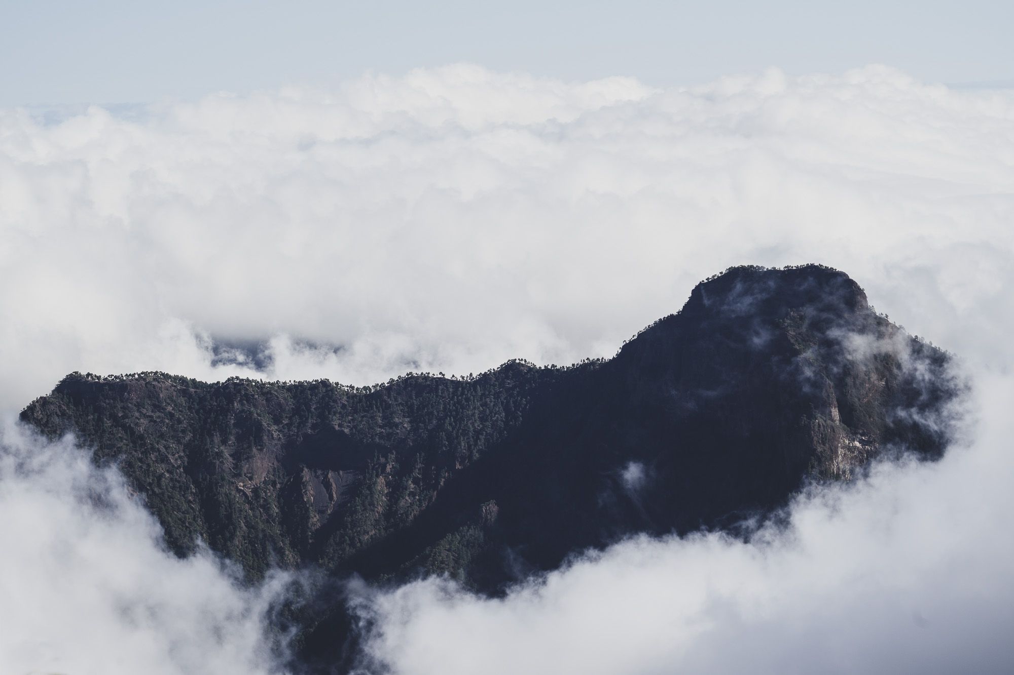 La Palma - Archipel des Canaries (n°01/32) - (c) Nathalie Lanier