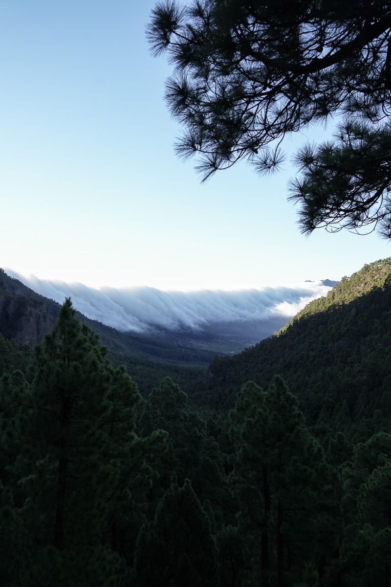 TOP1 La Palma_Caldeira de Taburiente-12