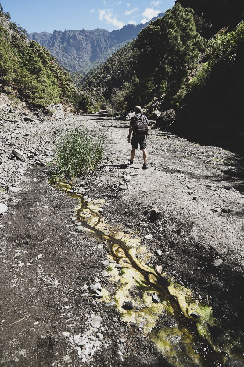 TOP7 La Palma_Rivieère Caldeira-11